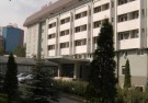 Алма-Ата: царство тюльпанов